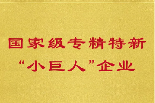 長(zhǎng)隆科技入選第四批 國(guó)家級(jí)專(zhuān)精特新“小巨人”企業(yè)